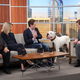 Danny DeVito, Kaitlin Olson, Glenn Howerton, Bob Wiltfong (Photo: Ray Mickshaw/FXX)